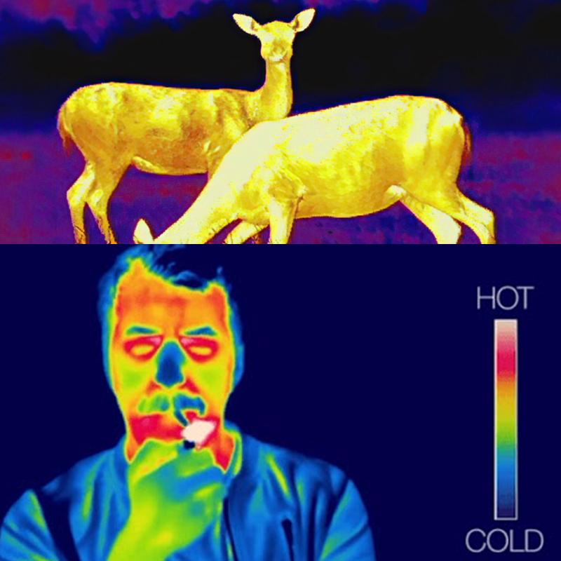 Camera thermique HD Pro Imageur thermique DT-982 / DT-982